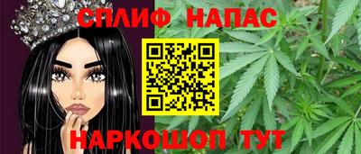стафф Новозыбков
