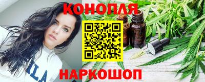 СК Новодвинск