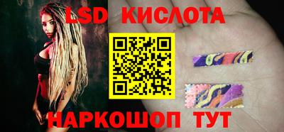 СК Новодвинск
