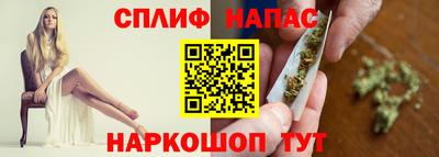 СК Новодвинск