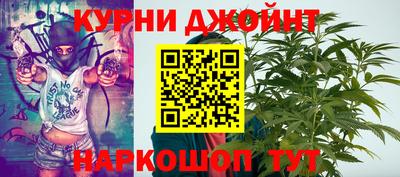 СК Новодвинск