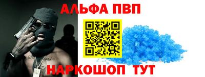 СК Новодвинск