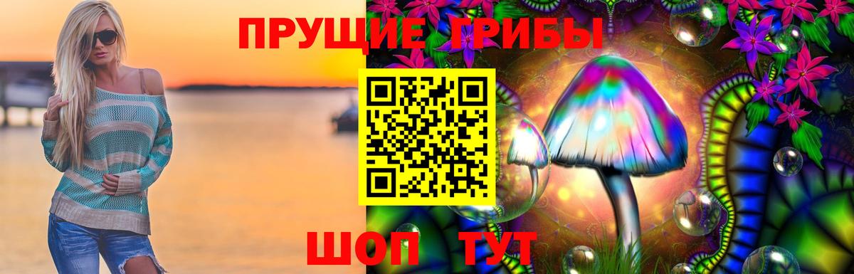 хочу   Вход с VPN  Северск  Галлюциногенные грибы Psilocybe 